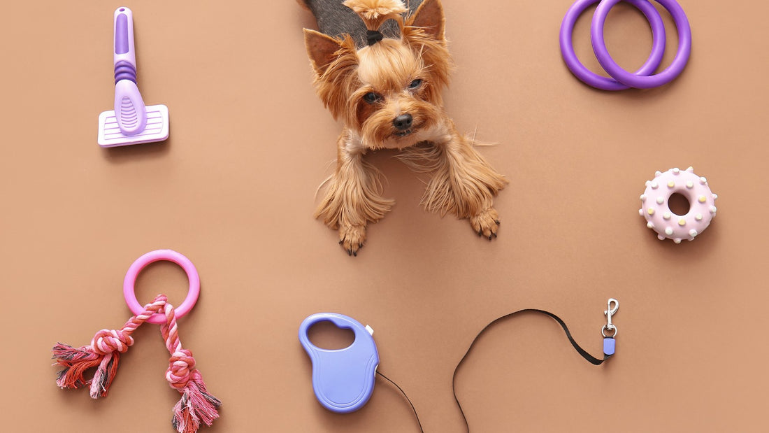 The Benefits of Interactive Toys for Pets