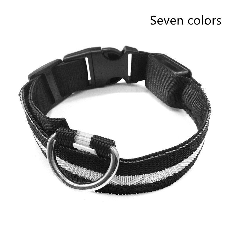 LED Nylon Dog Collar