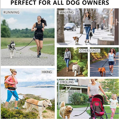 Hands-Free Dog Leash with Bungee