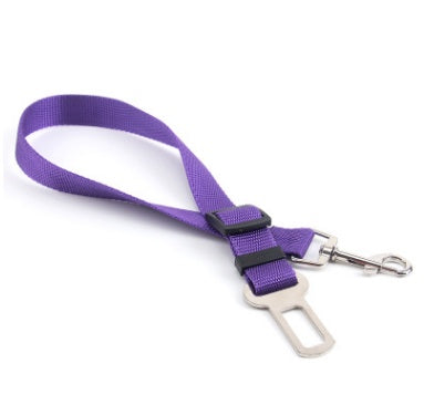 Durable Fixed Strap Polyester Dog Leash