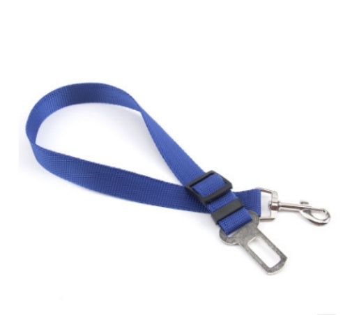 Durable Fixed Strap Polyester Dog Leash