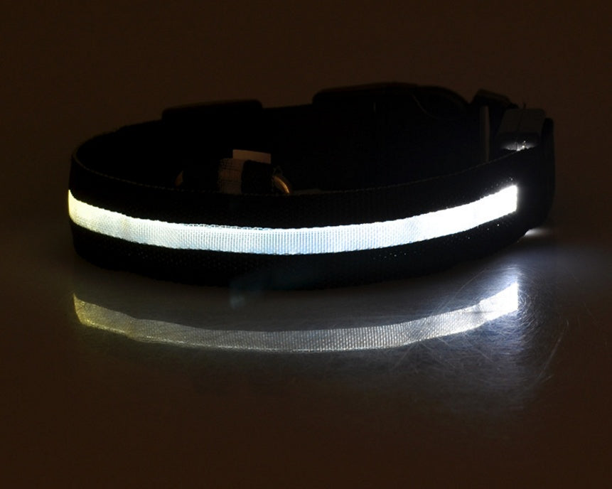 LED Nylon Dog Collar