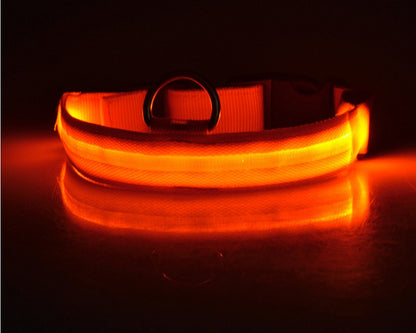 LED Nylon Dog Collar