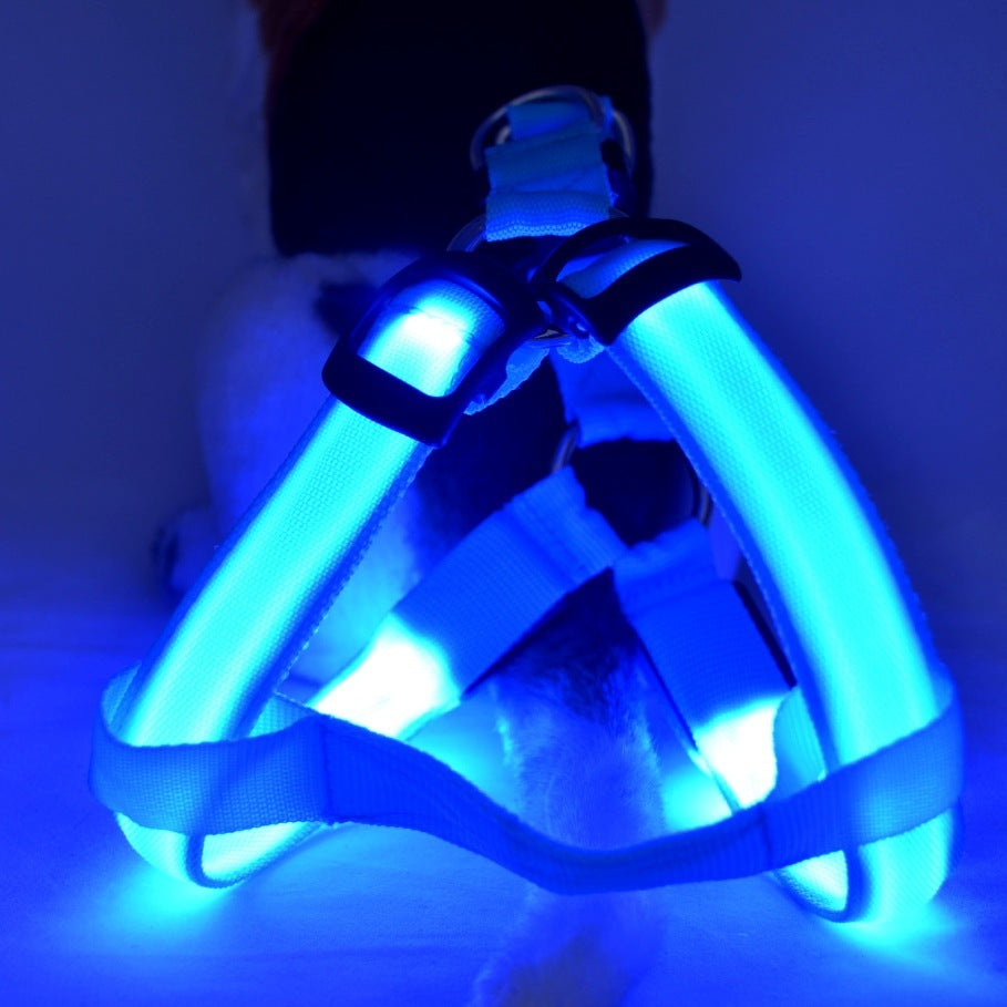 LED Luminous Dog