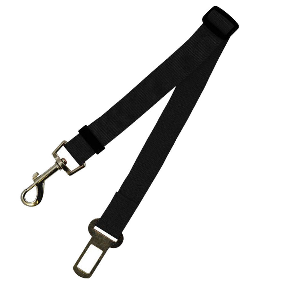 Durable Fixed Strap Polyester Dog Leash