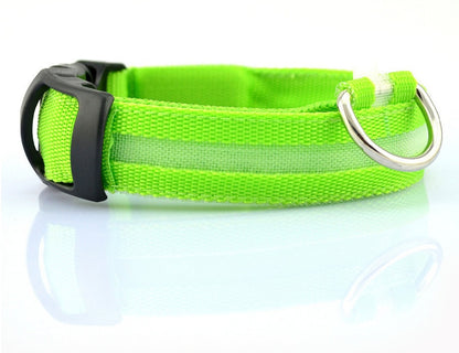 LED Nylon Dog Collar