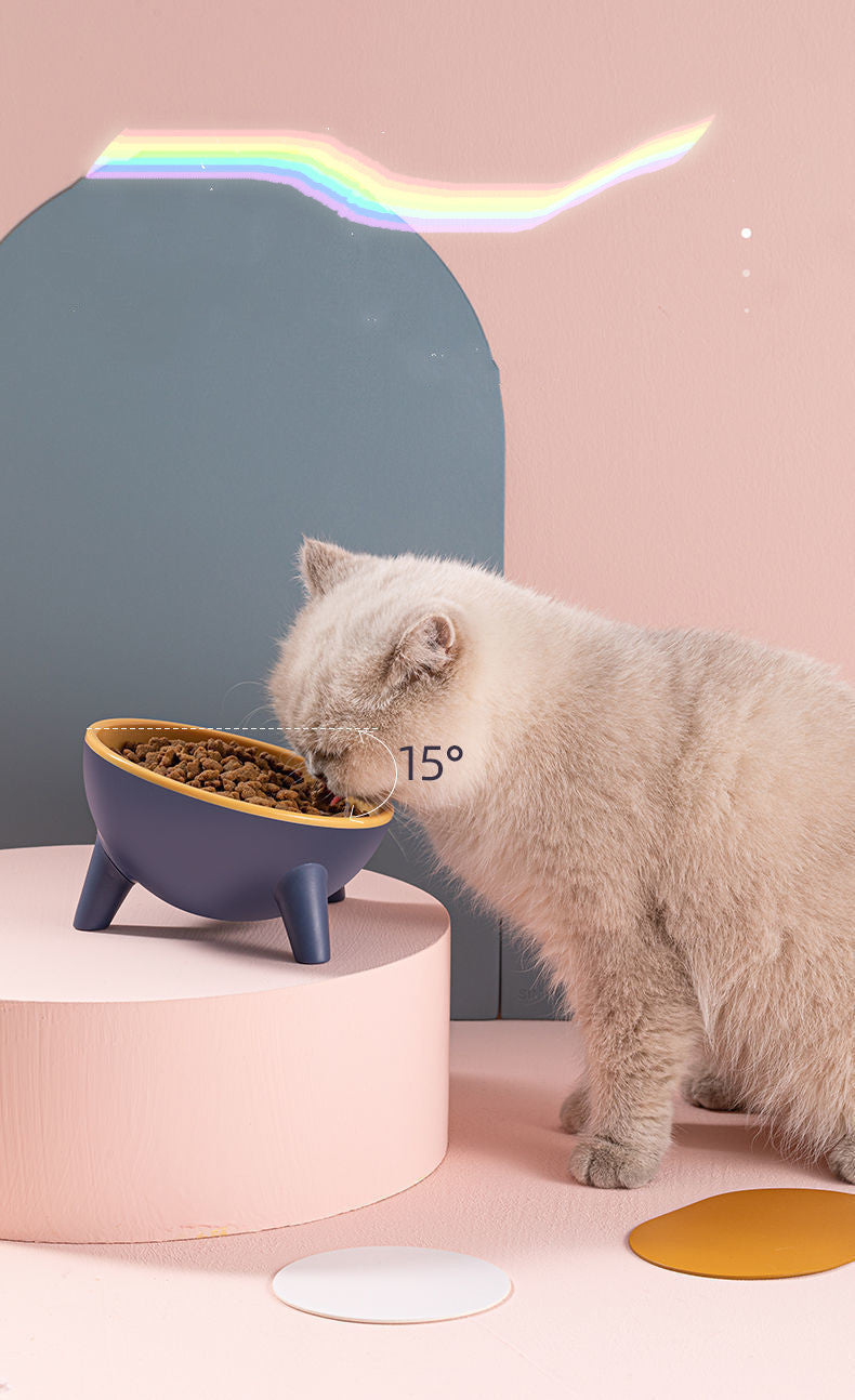 Elevated Pet Feeding Bowl with Stand