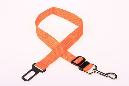 Durable Fixed Strap Polyester Dog Leash