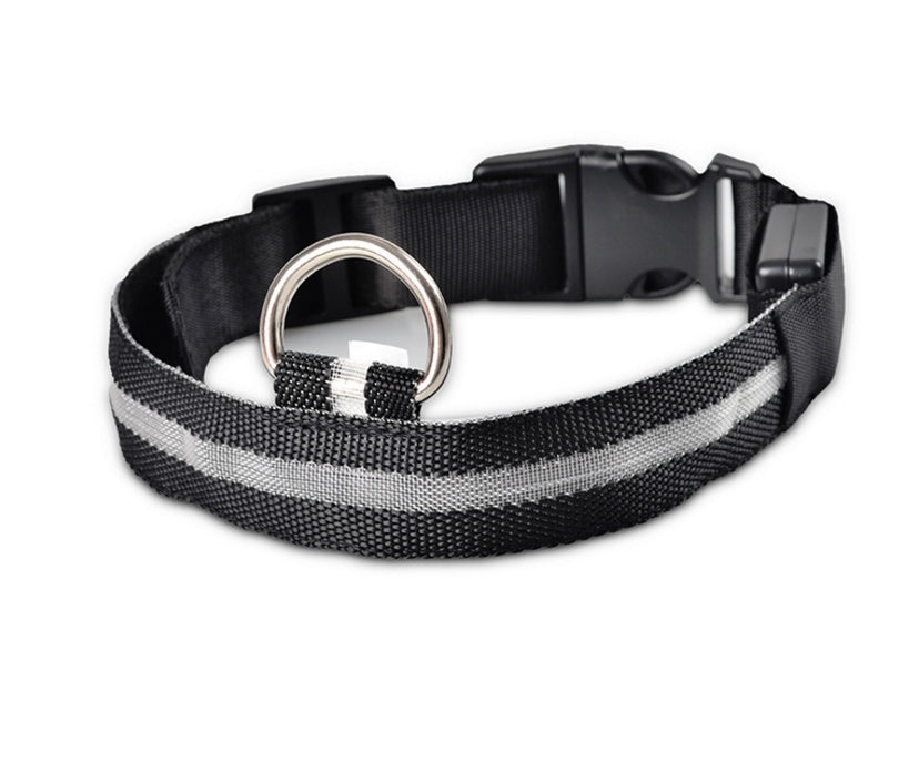 LED Nylon Dog Collar