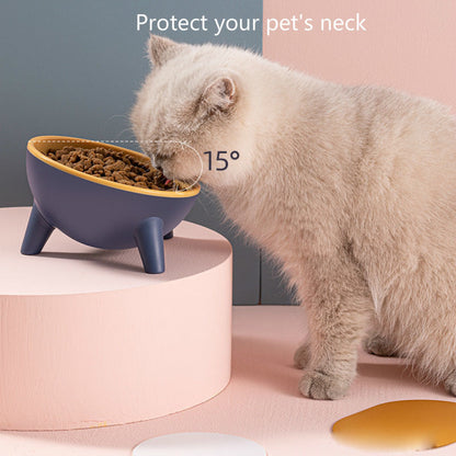 Elevated Pet Feeding Bowl with Stand