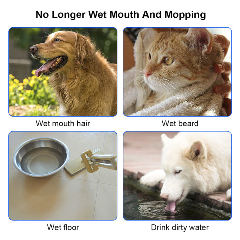 Anti-Spill Pet Water Bowl