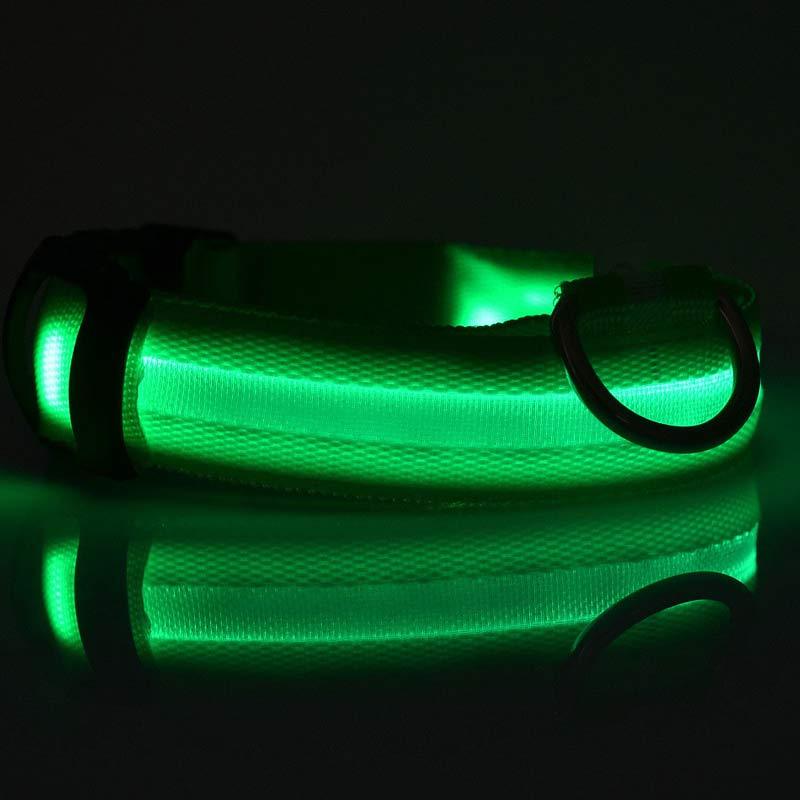 LED Nylon Dog Collar