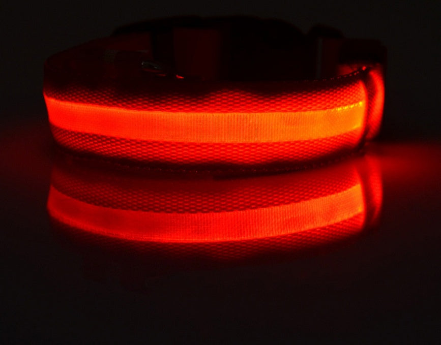 LED Nylon Dog Collar