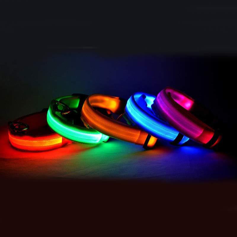 LED Nylon Dog Collar