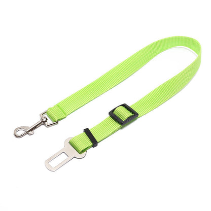 Durable Fixed Strap Polyester Dog Leash