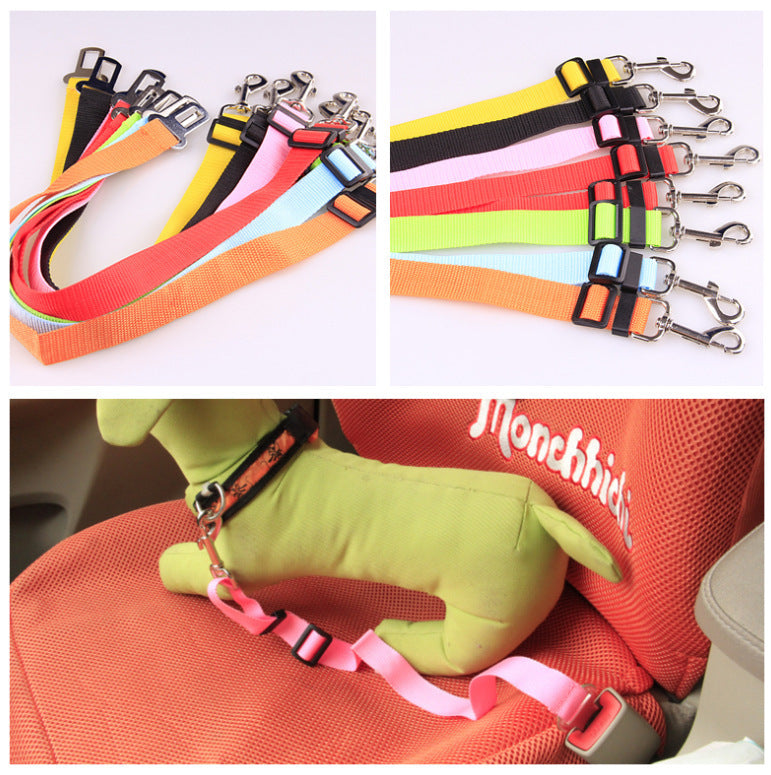 Durable Fixed Strap Polyester Dog Leash