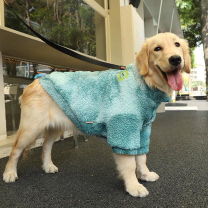 Fashionable Loose Coat for Labradors