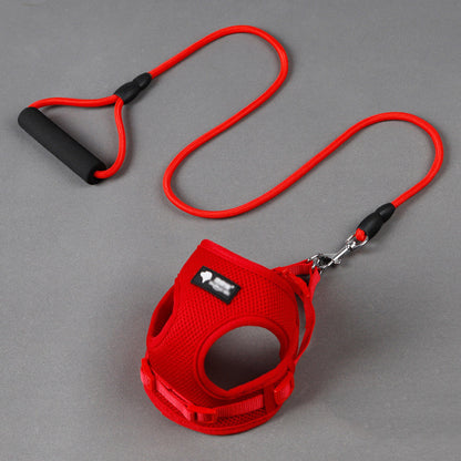 Durable Dog Leash and Collar Set