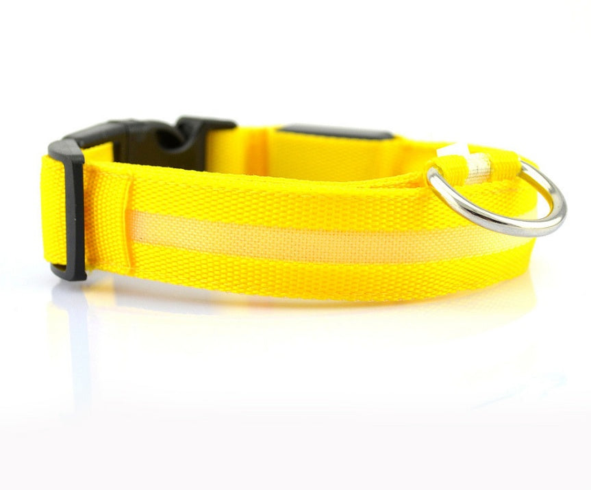 LED Nylon Dog Collar