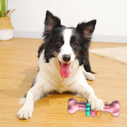 Teeth Cleaning and Teething Toy