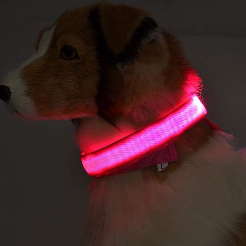 LED Nylon Dog Collar