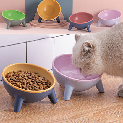 Elevated Pet Feeding Bowl with Stand