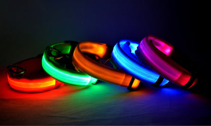 LED Nylon Dog Collar