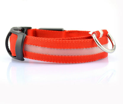 LED Nylon Dog Collar