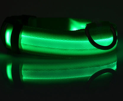 LED Nylon Dog Collar