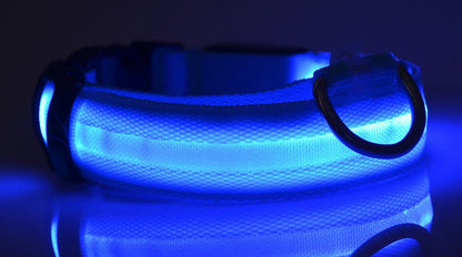 LED Nylon Dog Collar