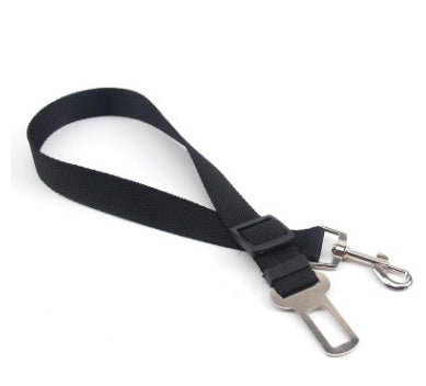 Durable Fixed Strap Polyester Dog Leash