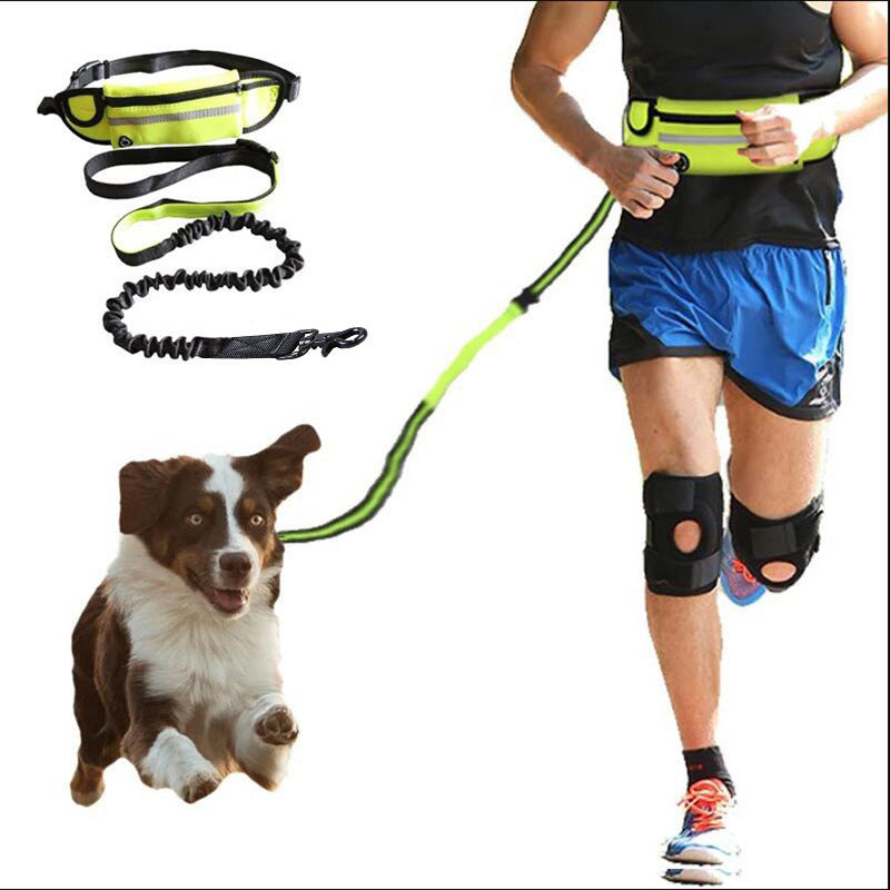 Hands-Free Dog Leash with Bungee