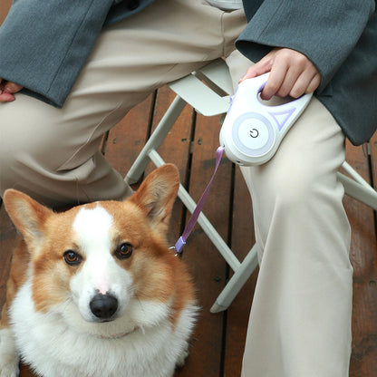 Retractable Dog Leash and Collar Set