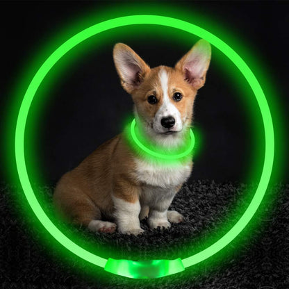 USB Rechargeable Flashing Dog Collar