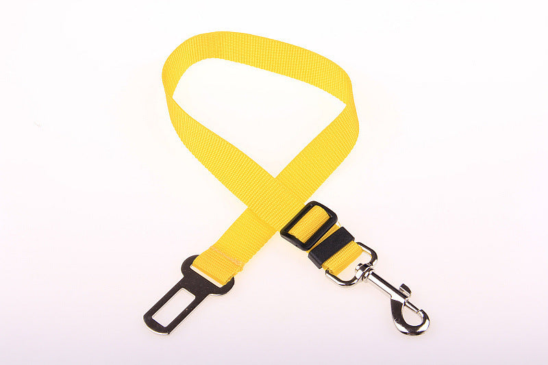 Durable Fixed Strap Polyester Dog Leash