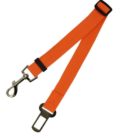 Durable Fixed Strap Polyester Dog Leash