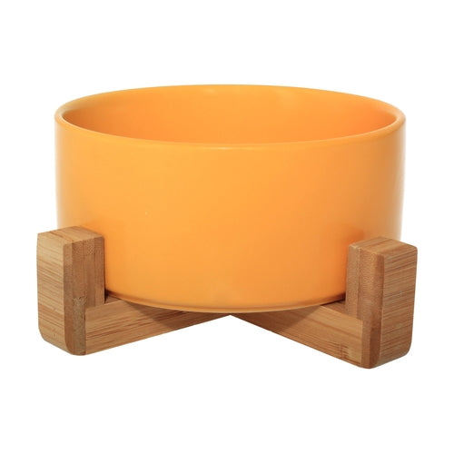 Elevated Ceramic Dog Bowl