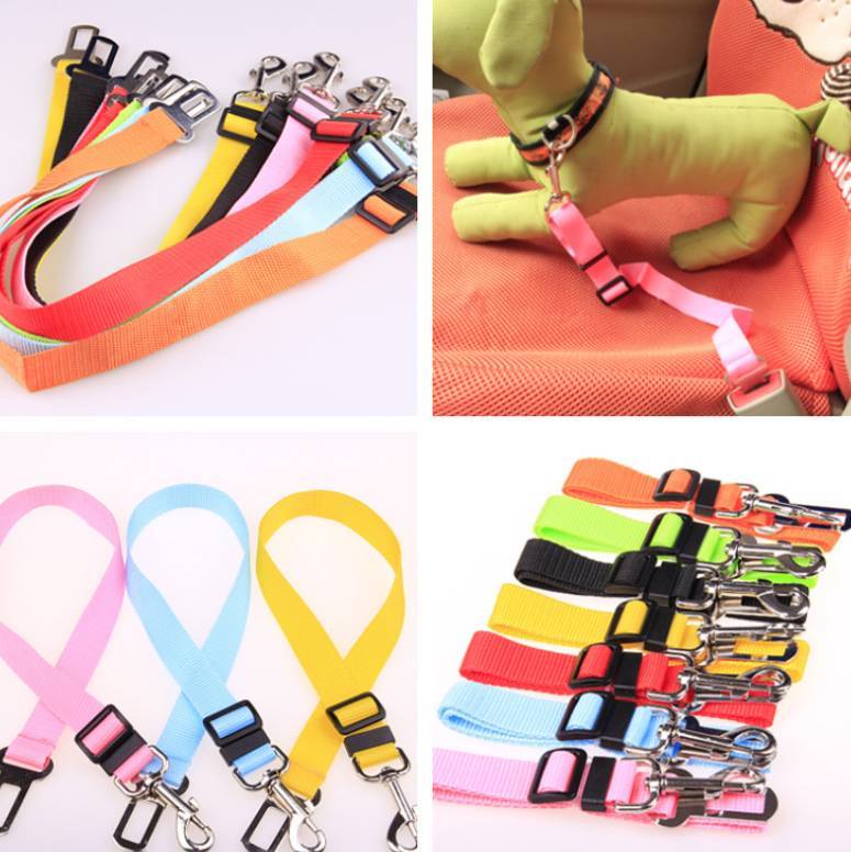 Durable Fixed Strap Polyester Dog Leash