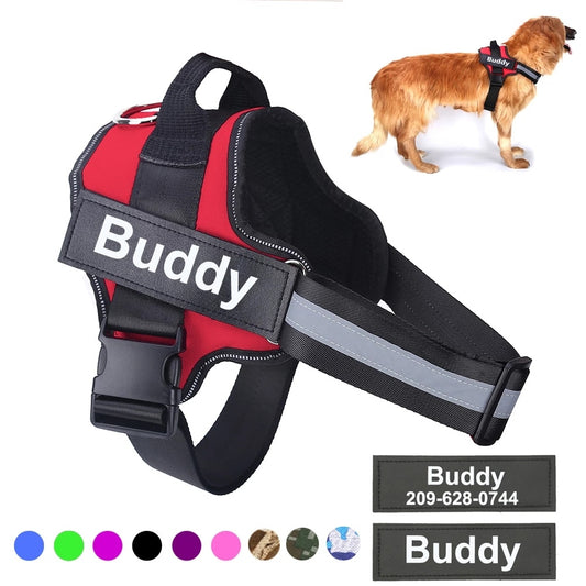 Personalized No-Pull Dog Harness