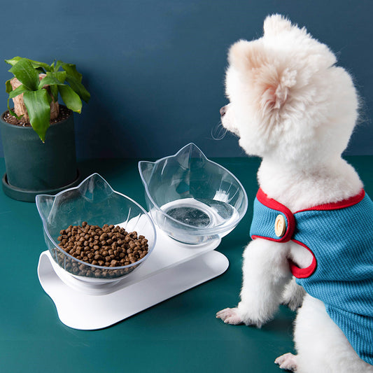 Transparent Inclined Cat Bowl