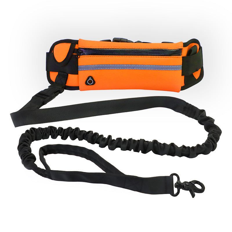 Hands-Free Dog Leash with Bungee