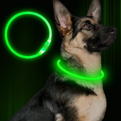 USB Rechargeable Flashing Dog Collar