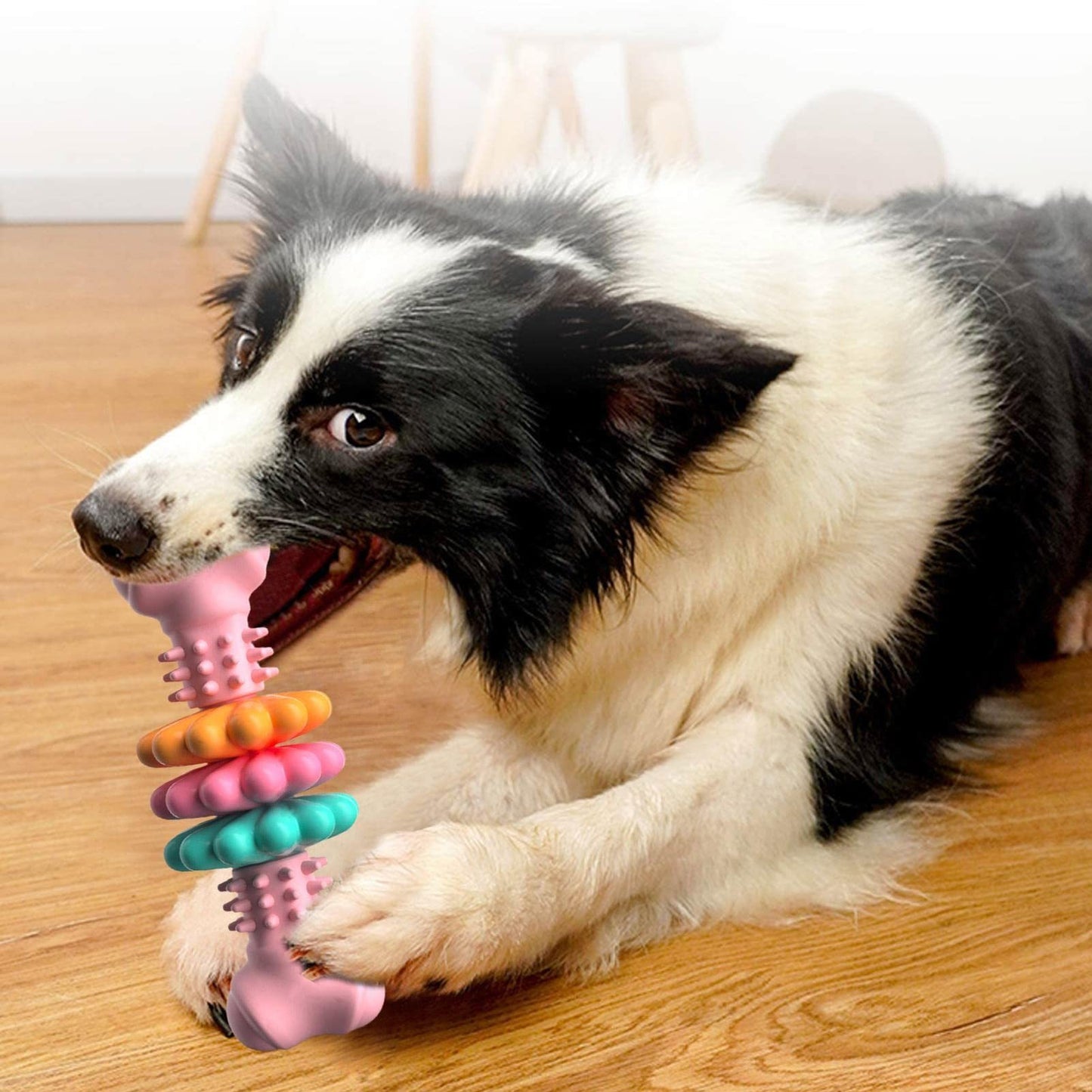 Teeth Cleaning and Teething Toy