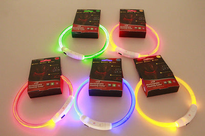 USB Rechargeable Flashing Dog Collar